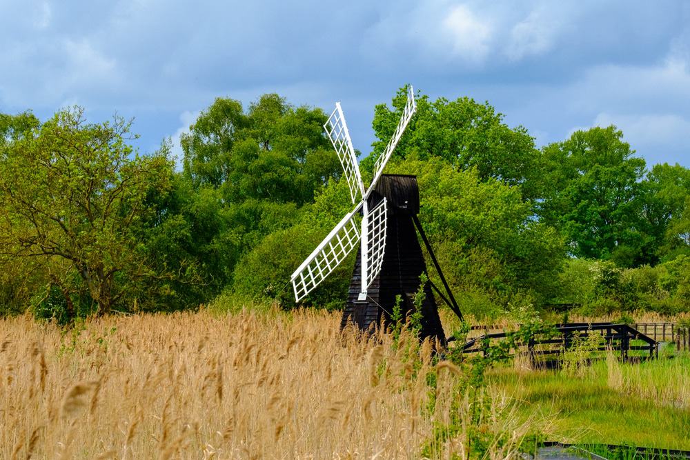 Wicken Fen National Nature Reserve