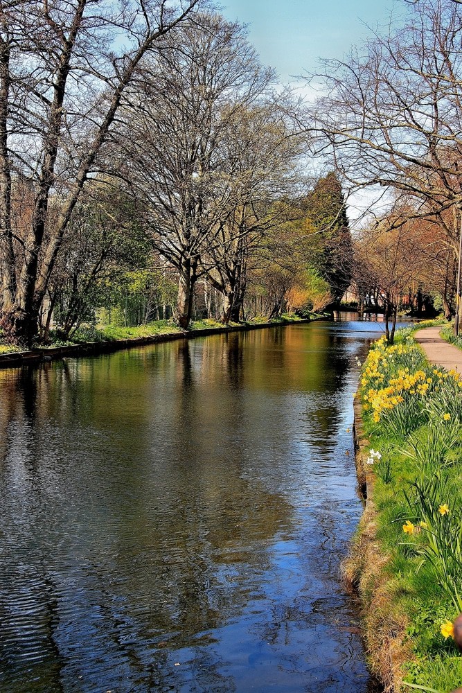 Ripon Canal