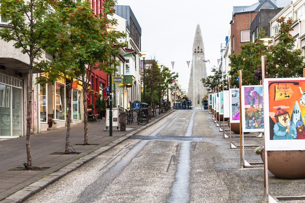 Reykjavik City Sightseeing