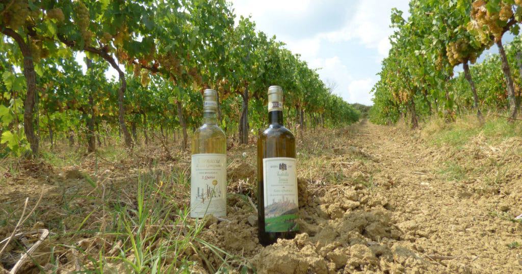 San Quirico Winery