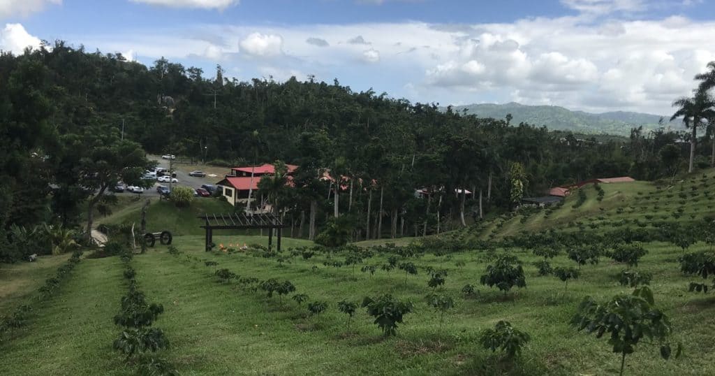 San Juan: Countryside Foodie Tour with Carite Rainforest