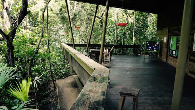 Panama Canal Railway & Gatun Locks Half-Day Tour