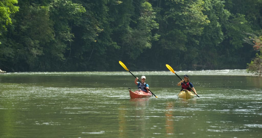 Jungle and Gatun Safari Tour on the Panama Canal