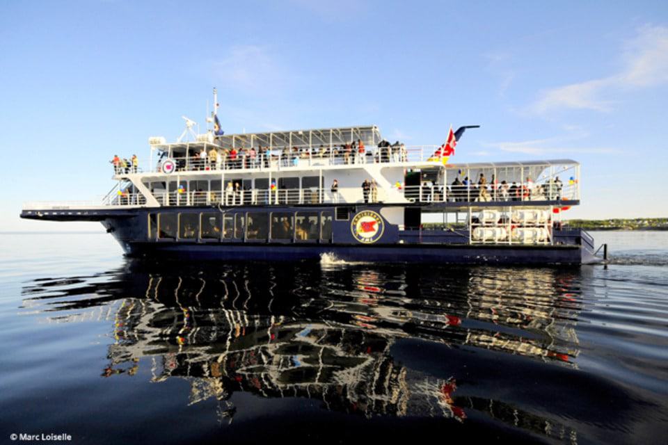 Whales and Saguenay Fjord 3-Hour Tour from Tadoussac
