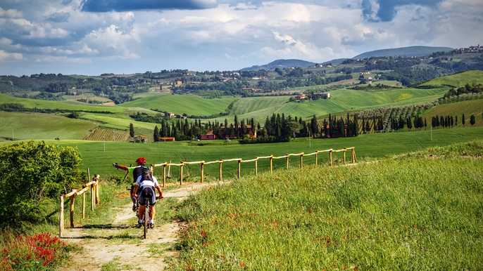 VIP Small-Group SuperTuscan Wine Tour