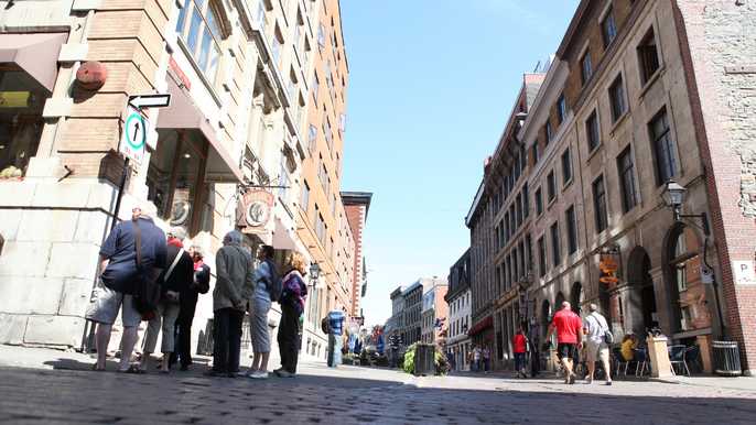 Montreal: 3.5-Hour Guided Bus Tour