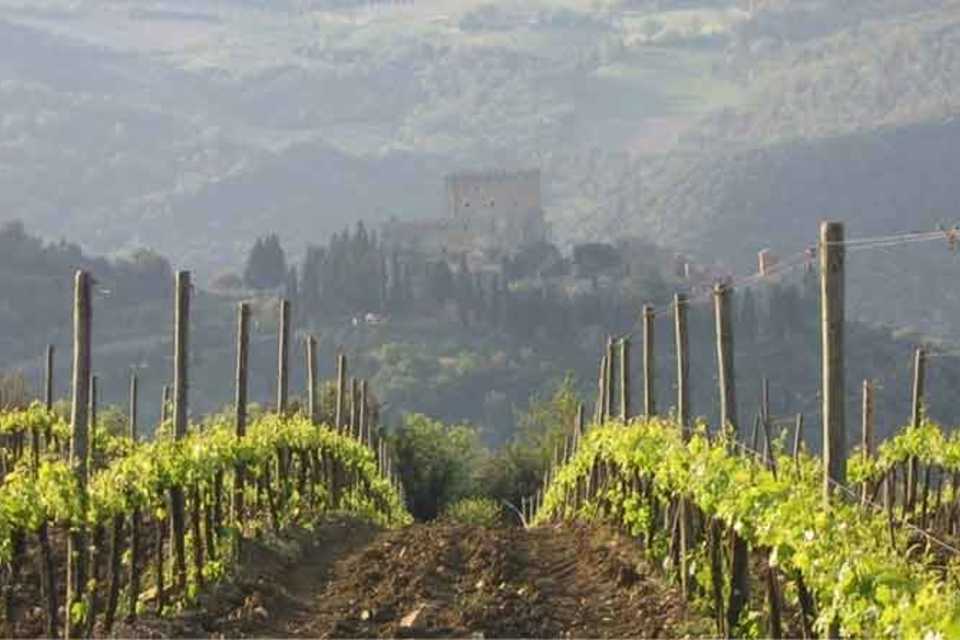 From Florence: Full-Day Tuscan Wine Tour with Lunch
