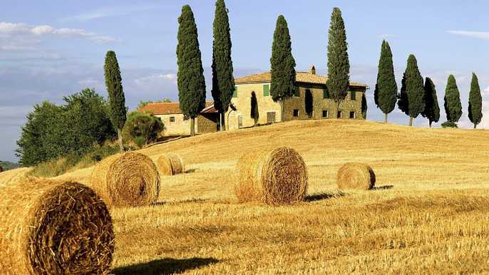 Montalcino, Pienza And Montepulciano Full-Day Wine Tour