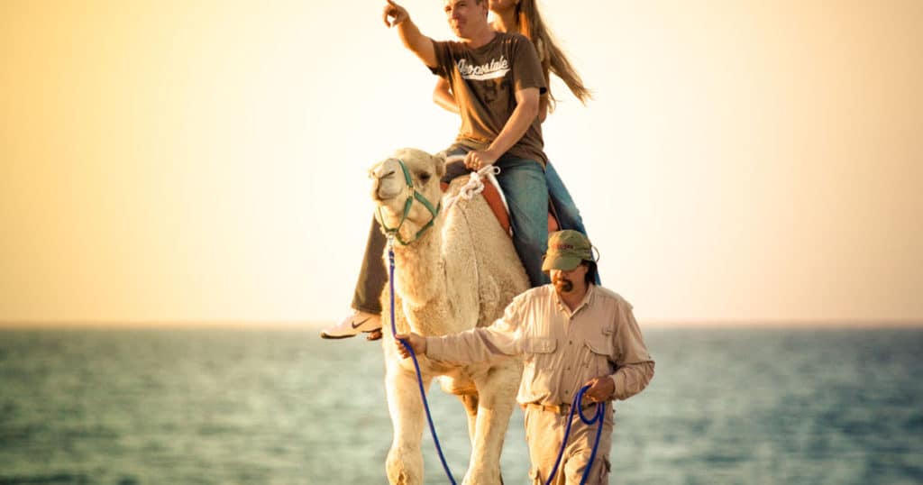 Camel Safari in Cabo San Lucas