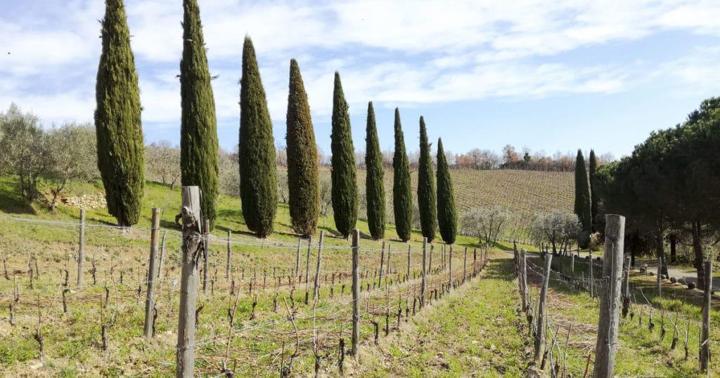 Chianti Wine & Food Safari