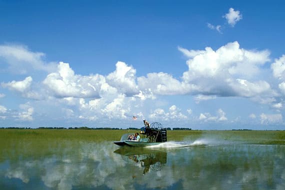 Best Of Everglades Tour