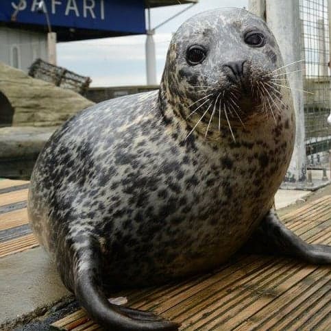 Blue Reef Aquarium