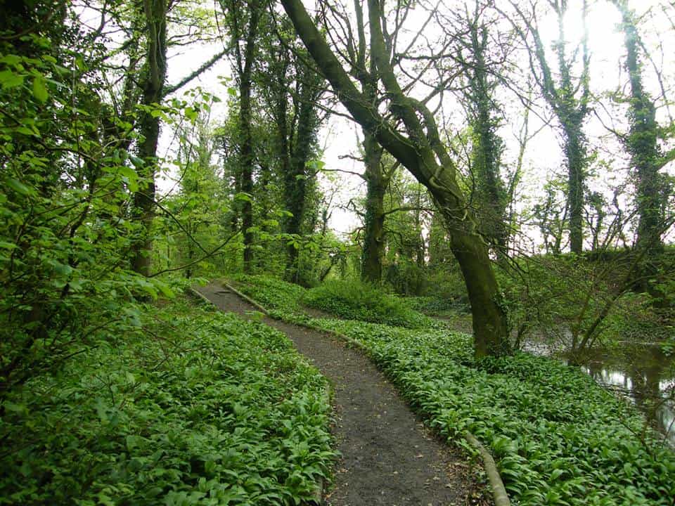 Cuckoos' Nook And The Dingle