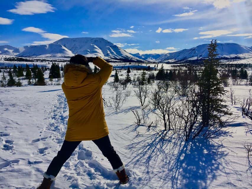 Denali National Park Winter Experience