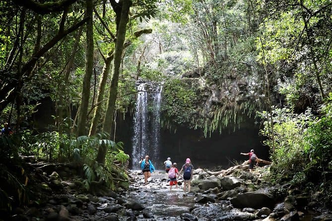 East Maui Waterfalls And Rainforest Hike