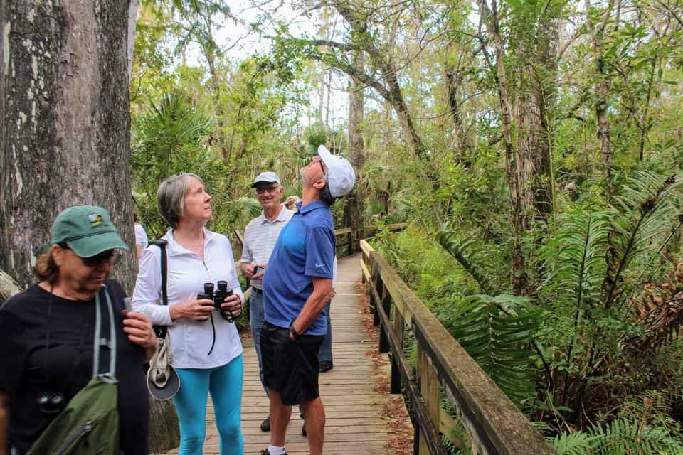 Everglades Airboat Ride And Nature Walk