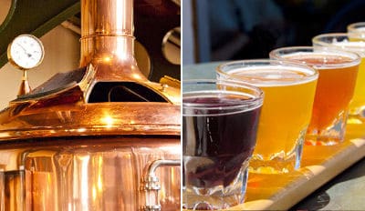 Microbrewery Experience