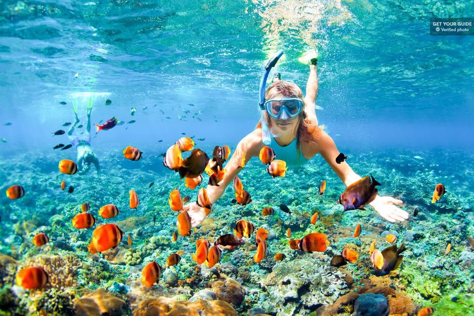 Molokini And Turtle Town Snorkel