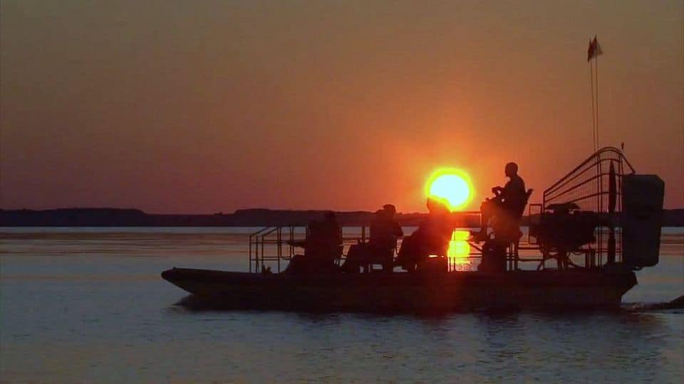 Moonlight Swamp Safari