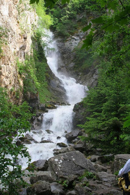 White Pass Summit Bus Tour