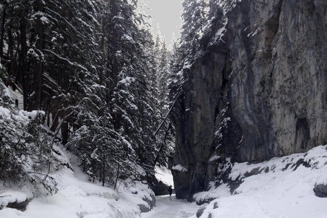 Winter Canyon Hike