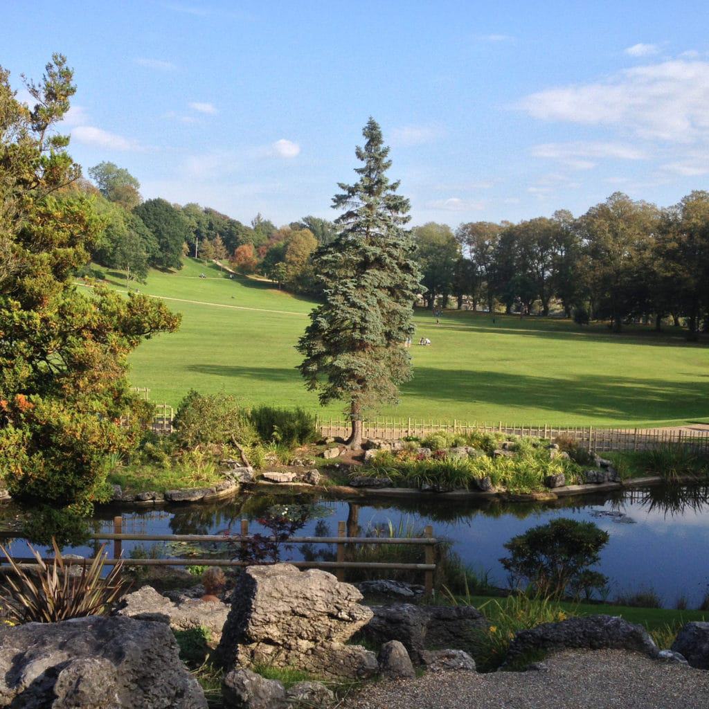 Avenham and Miller Parks