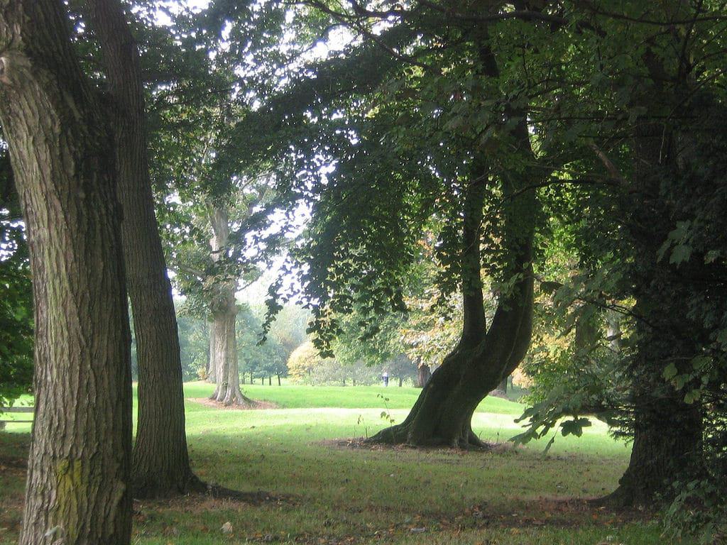 Moor Park