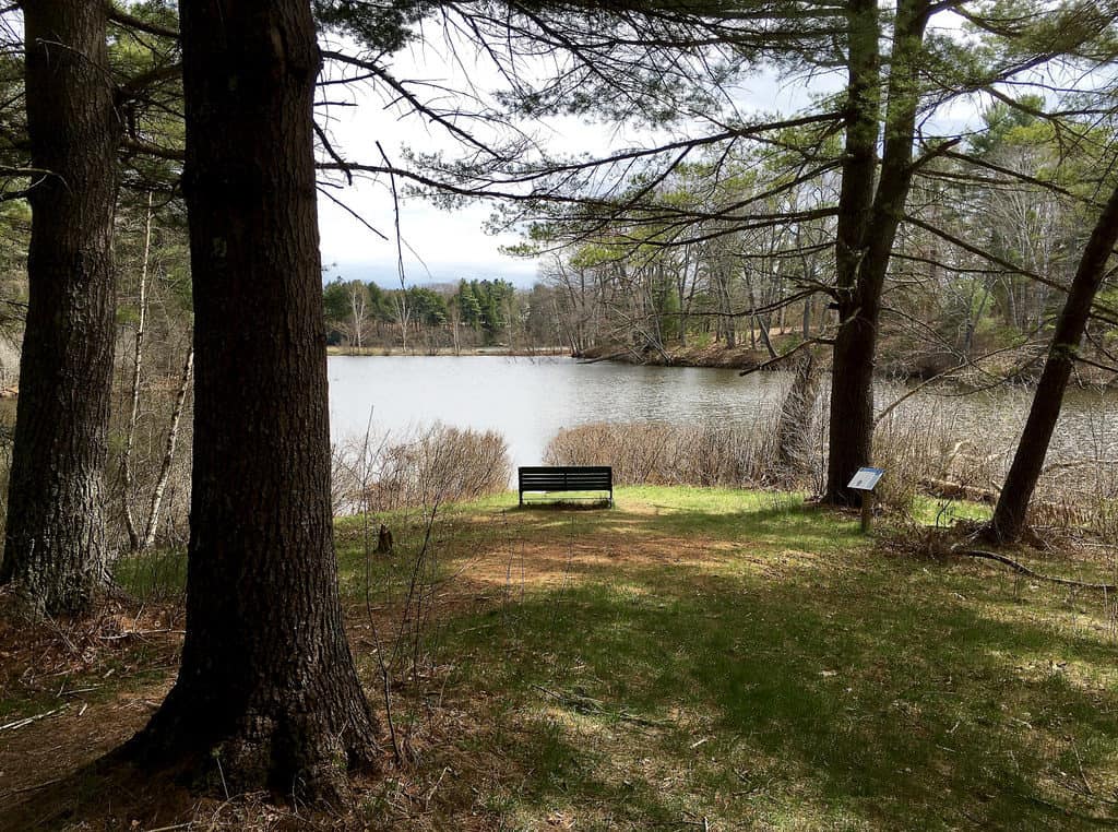 Spear Farm Estuary Preserve, Yarmouth