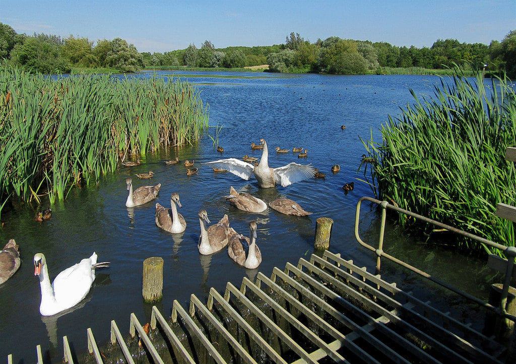 Melton Country Park