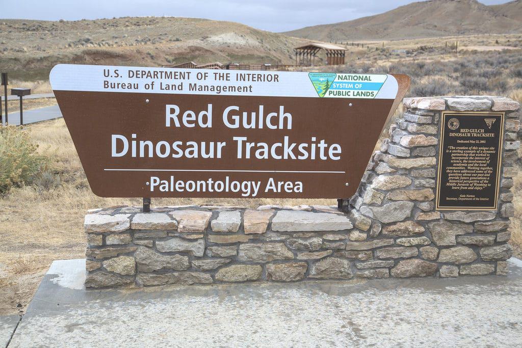 The Red Gulch, Shell