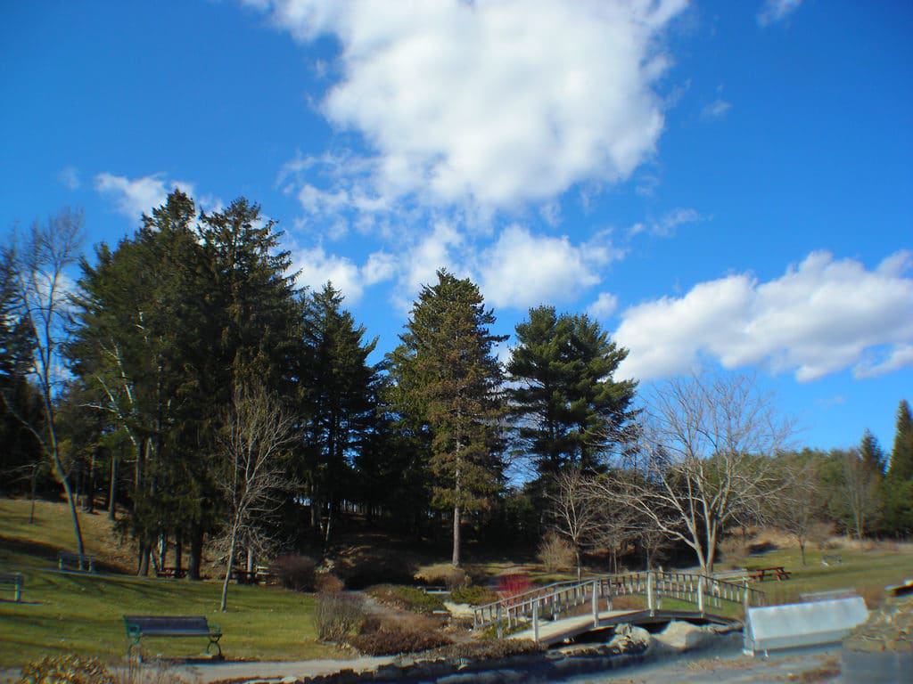 Cascade Park, Bangor