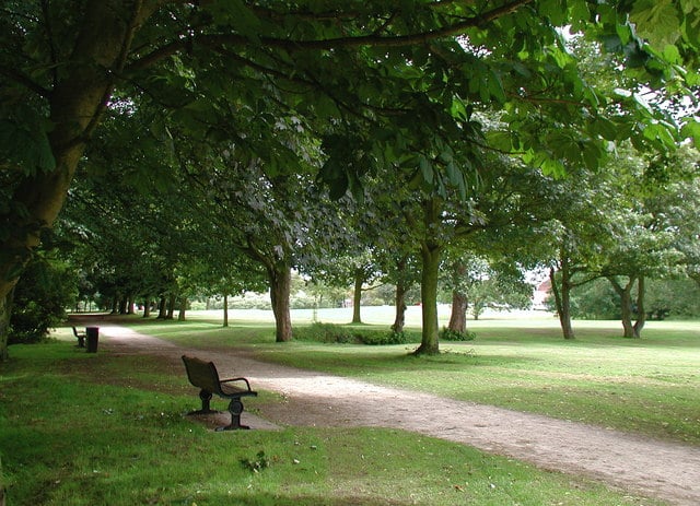 Hall Garth Park