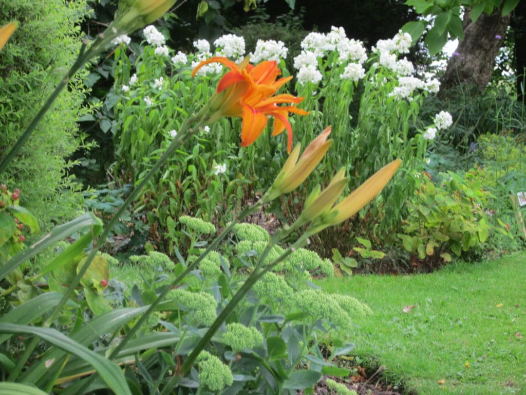 Victoria Pleasure Gardens