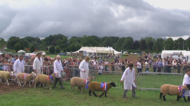 Mid Devon Show
