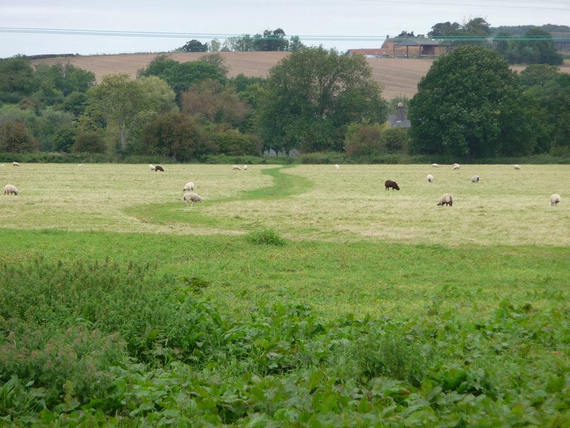 The Severn Ham