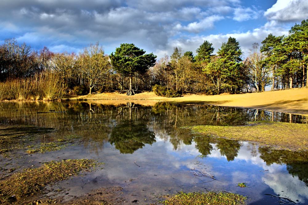 Horsell Common