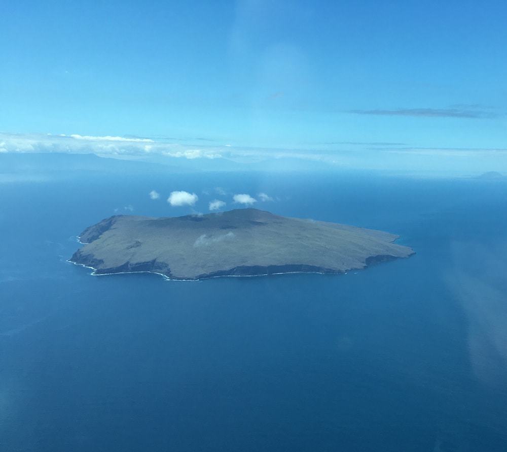 Pinzón Island