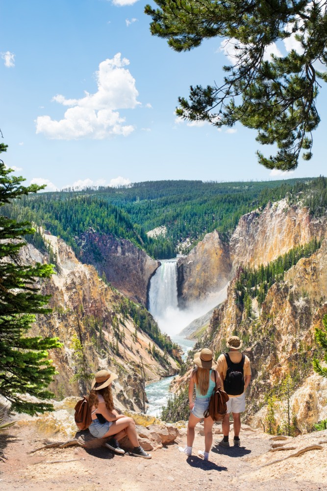 Lower Falls Yellowstone