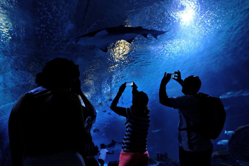 Oceanografic