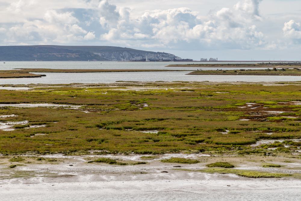 Hurst Spit