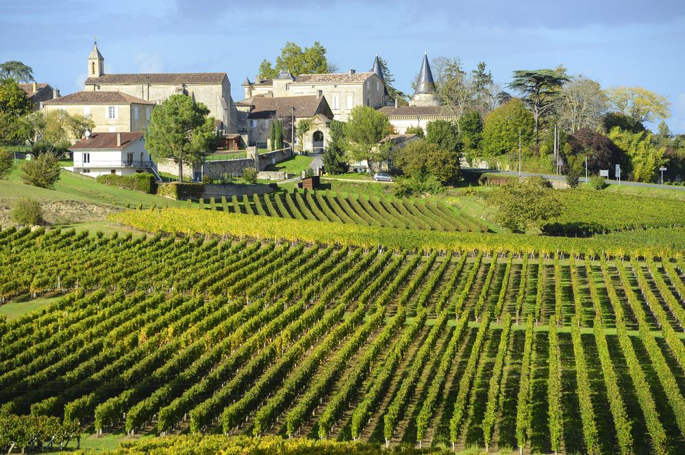 Vineyards of Saint Emilion