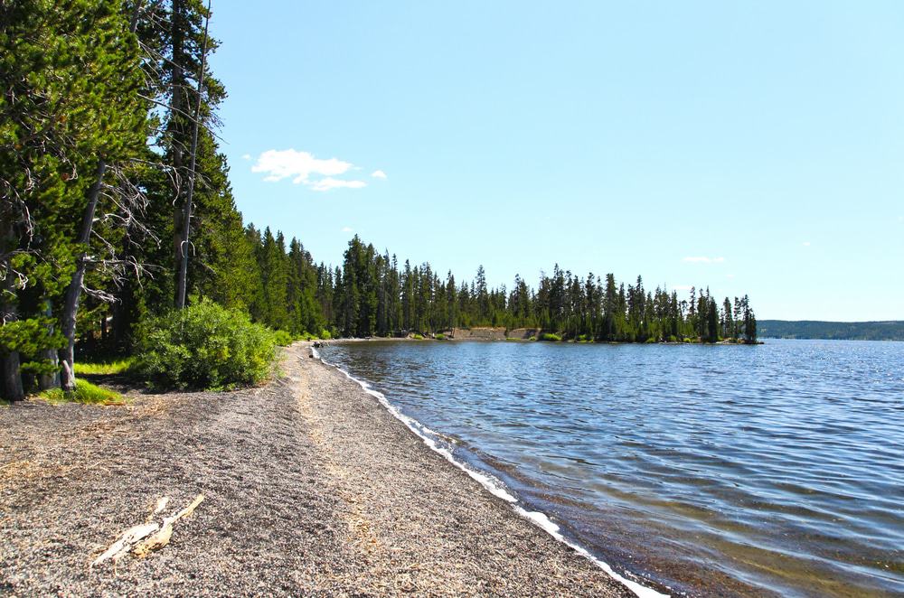Lewis Lake Yellowstone
