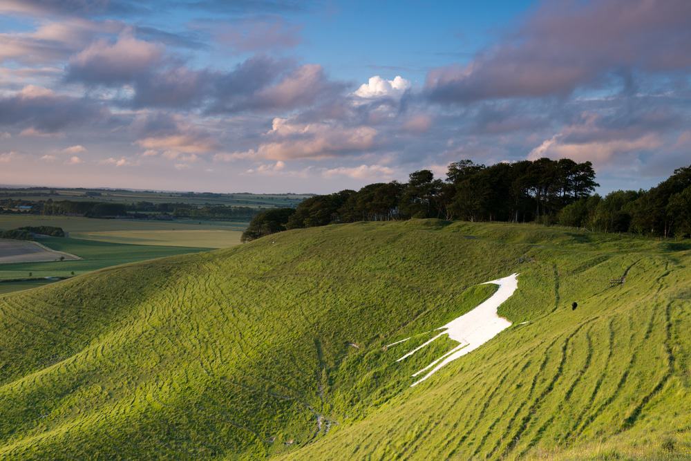 Cherhill White Horse