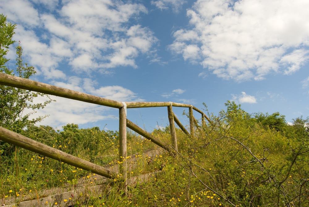  Newbold Quarry Park