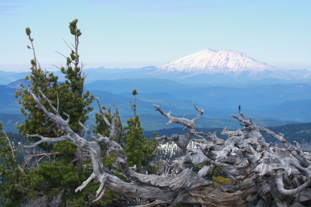 Mount St. Helens