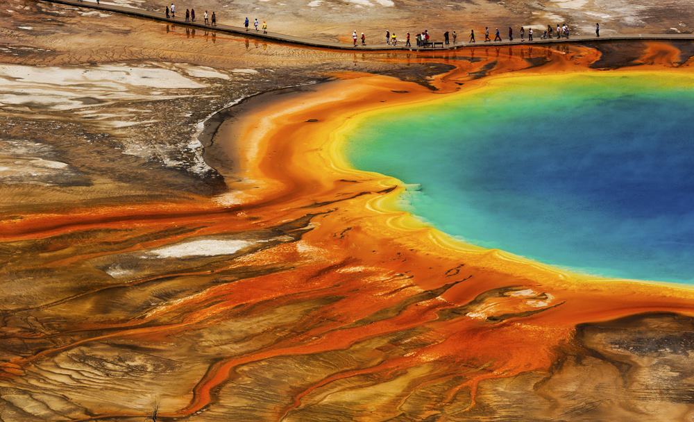 Yellowstone Lower Loop Guided Tour