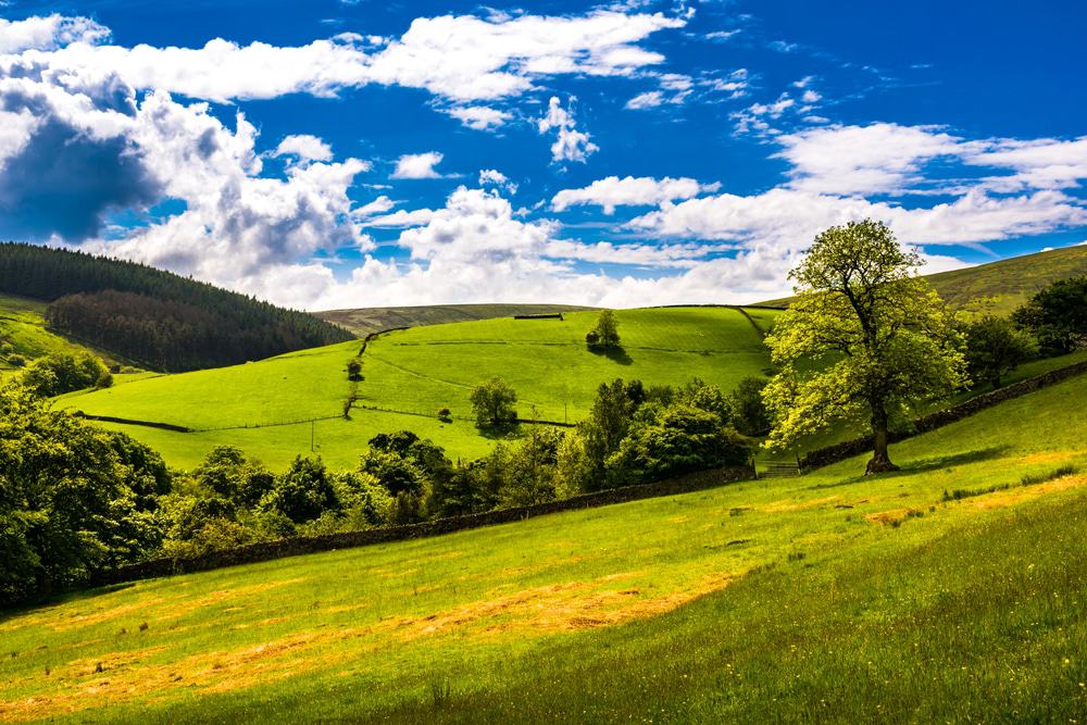 Forest of Bowland