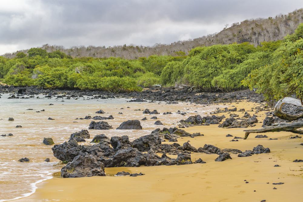 Garrapatero Beach