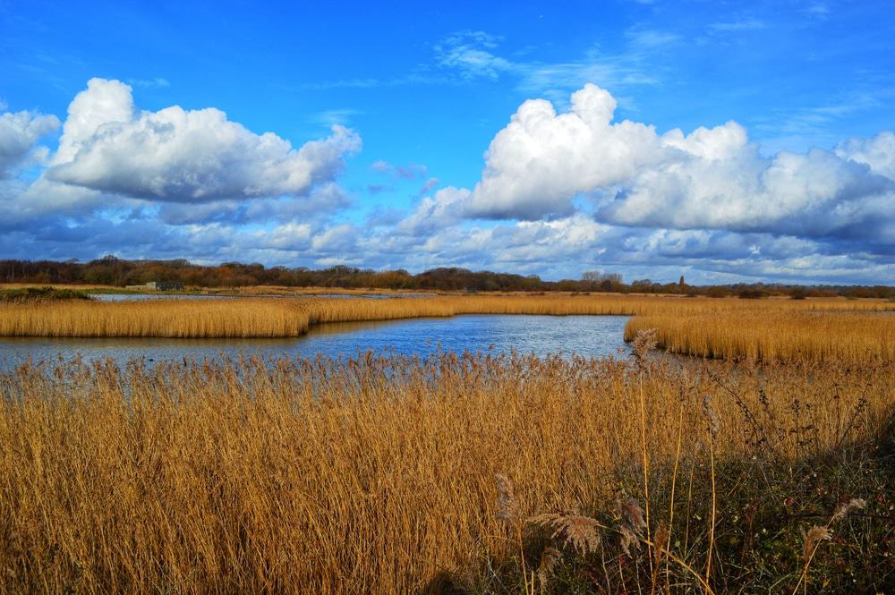 Titchfield Haven National Nature Reserve