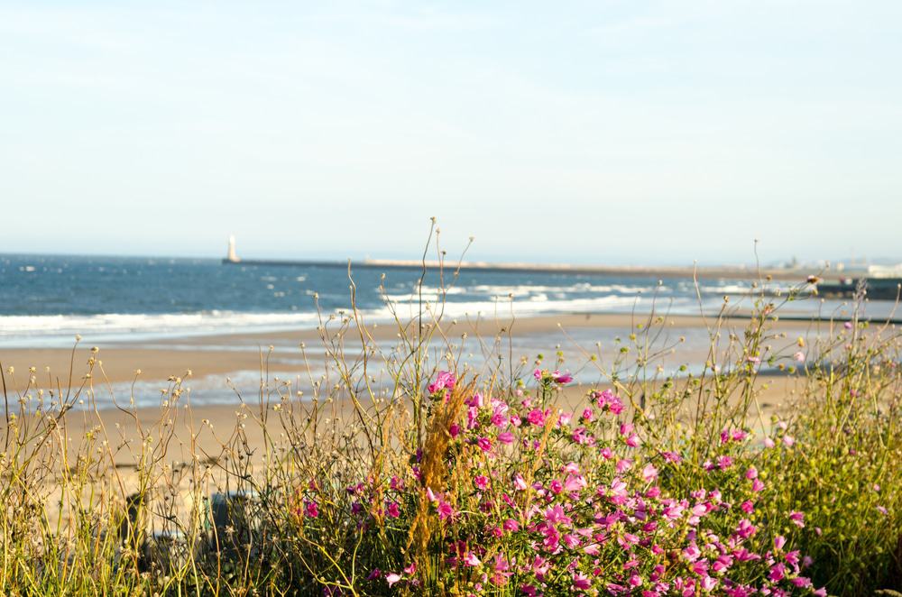 Roker and Seaburn Beaches